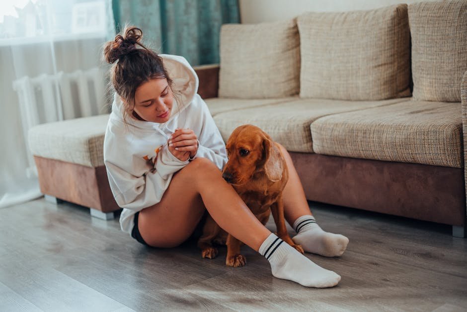 A young woman in a cozy setting bonding with her Cocker Spaniel on the floor of a living room.