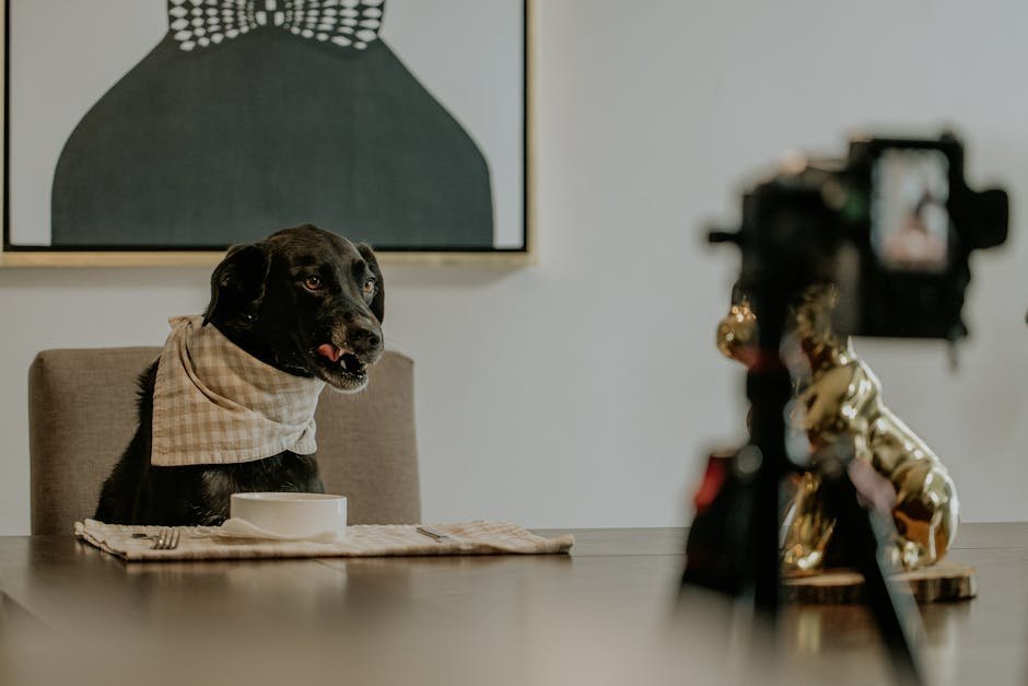 A black Labrador with a bib sits at a dining table, creating a charming and humorous pet portrait.