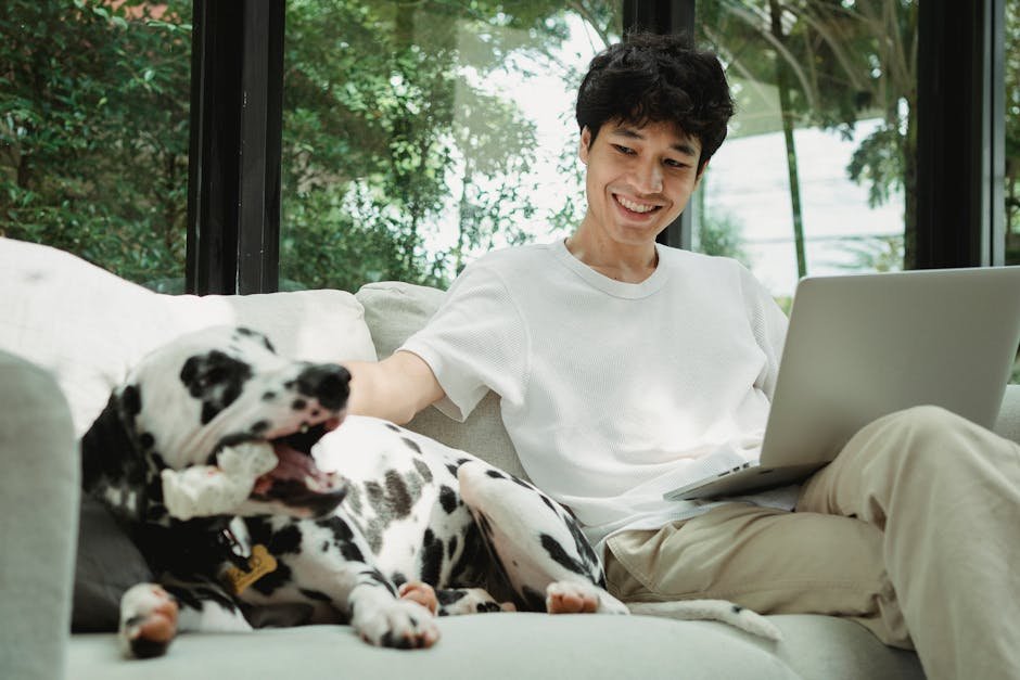 A man relaxes with his laptop and Dalmatian dog on a sofa indoors, enjoying a bright, cheerful atmosphere.