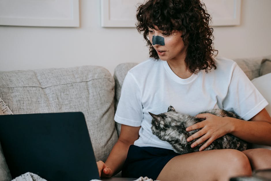 Crop young self employed lady in casual clothes with skin care patch on nose caressing adorable cat while working remotely on laptop at home