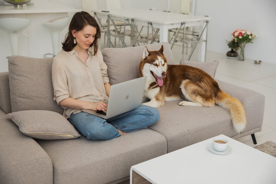 Woman sits with her Husky dog while using laptop, in a cozy living room.