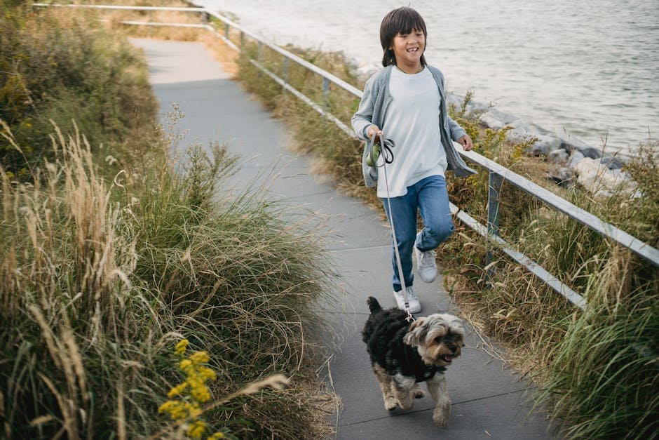Happy boy walking his dog along a scenic riverside path, showcasing friendship and outdoor fun.