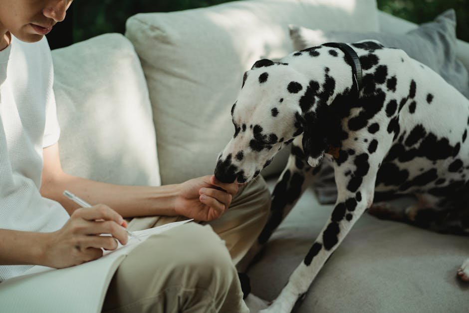 A man writing in a notebook while a Dalmatian dog sits beside him on a cozy sofa.