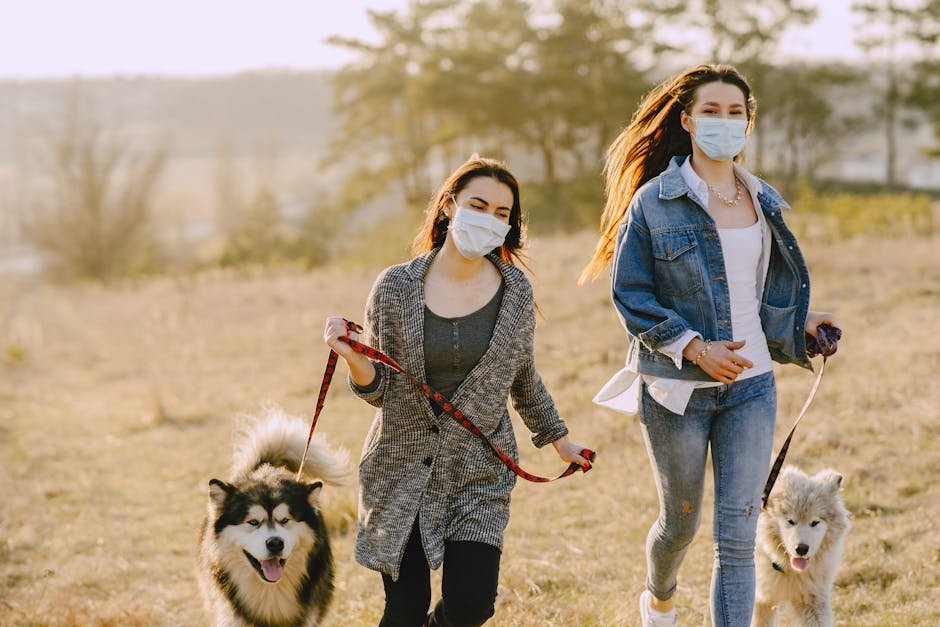 Two women joyfully walk their dogs in a sunny park, wearing face masks for health safety.